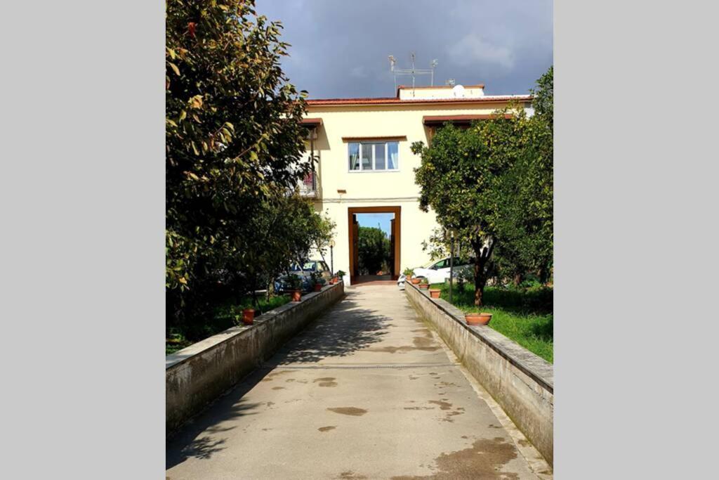 Appartamento In Villa Alle Falde Del Vesuvio Naples Exterior photo